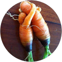 mariagrazia C. profile picture